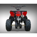 Niños pequeños de 50cc Racing Quad ATV (MDL GA002-5)